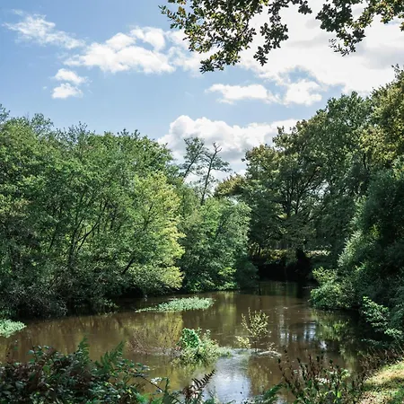 別荘 Maison Dharma A 5km De La Avec Sauna Mimizan-Plage