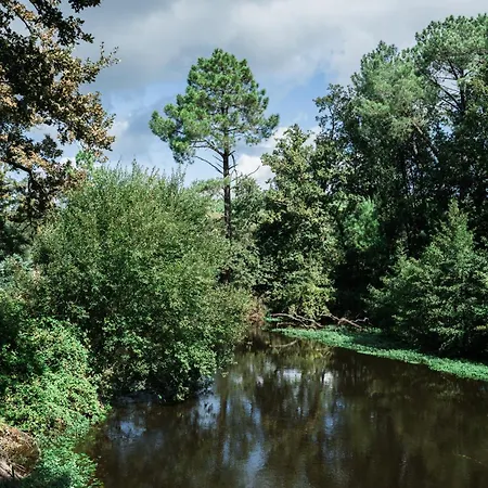 Maison Dharma A 5km De La Avec Sauna Hébergement de vacances *