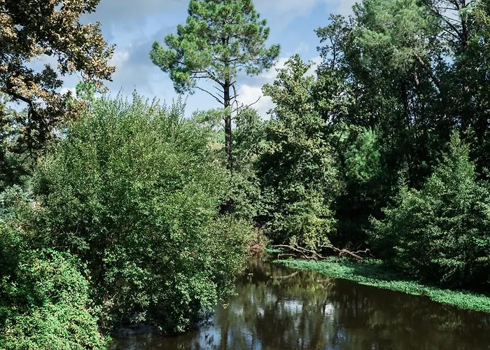 Maison Dharma A 5km De La Avec Sauna Prázdninový dům *