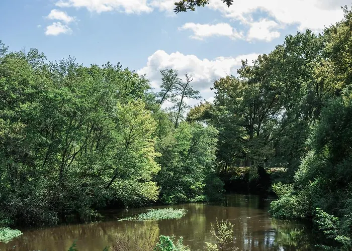 Prázdninový dům Maison Dharma A 5km De La Avec Sauna Mimizan-Plage